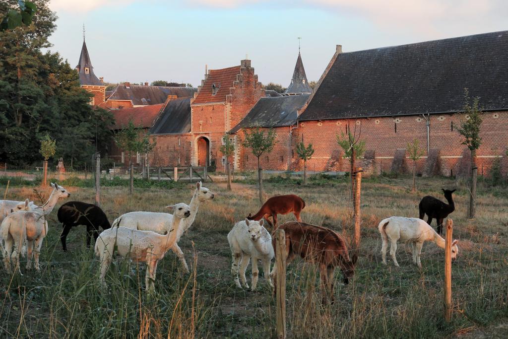 Апартаменти Kasteel Nieuwenhoven Сінт-Трейден Екстер'єр фото